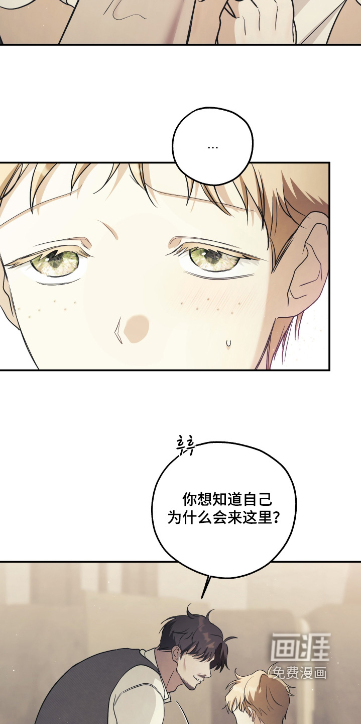 第33话4