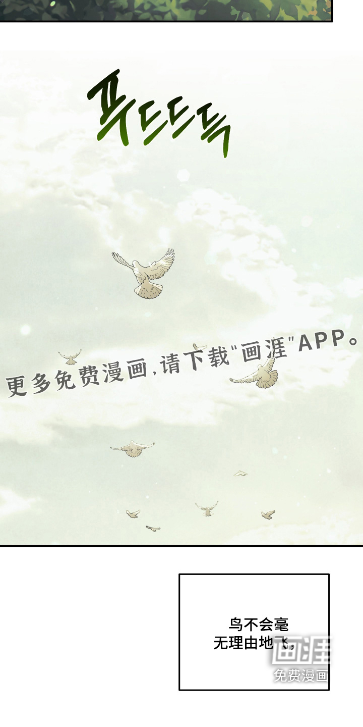 第31话31
