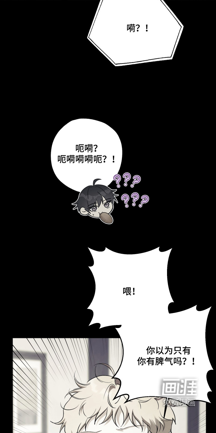 第19话4