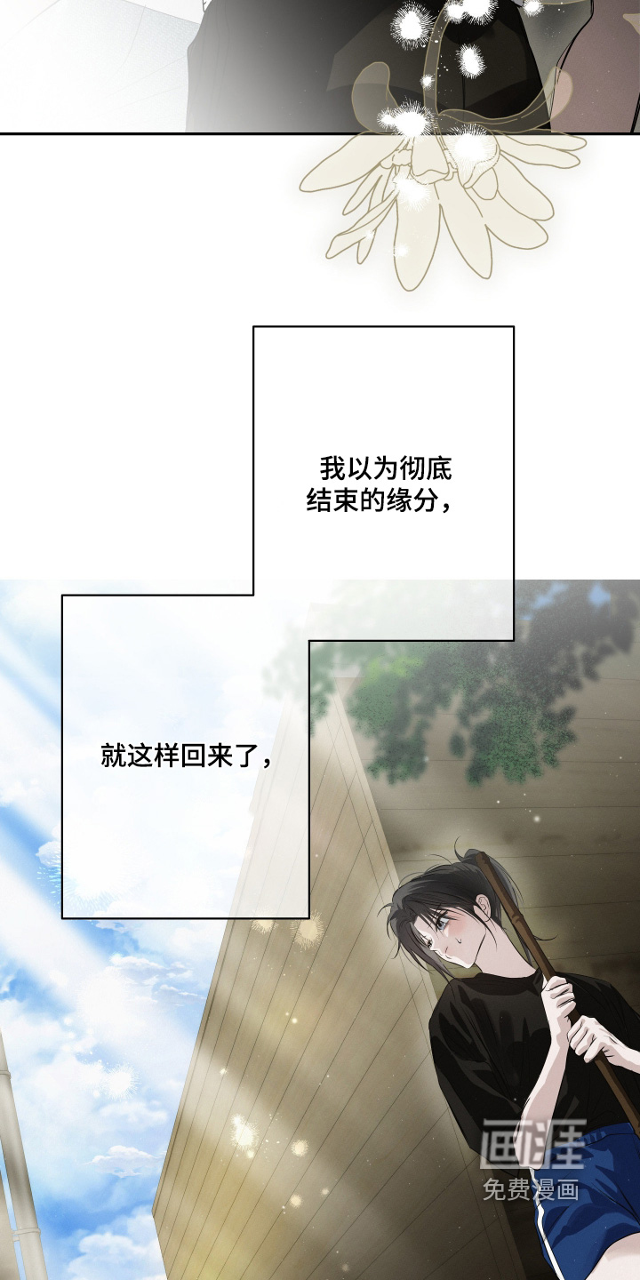 第84话11