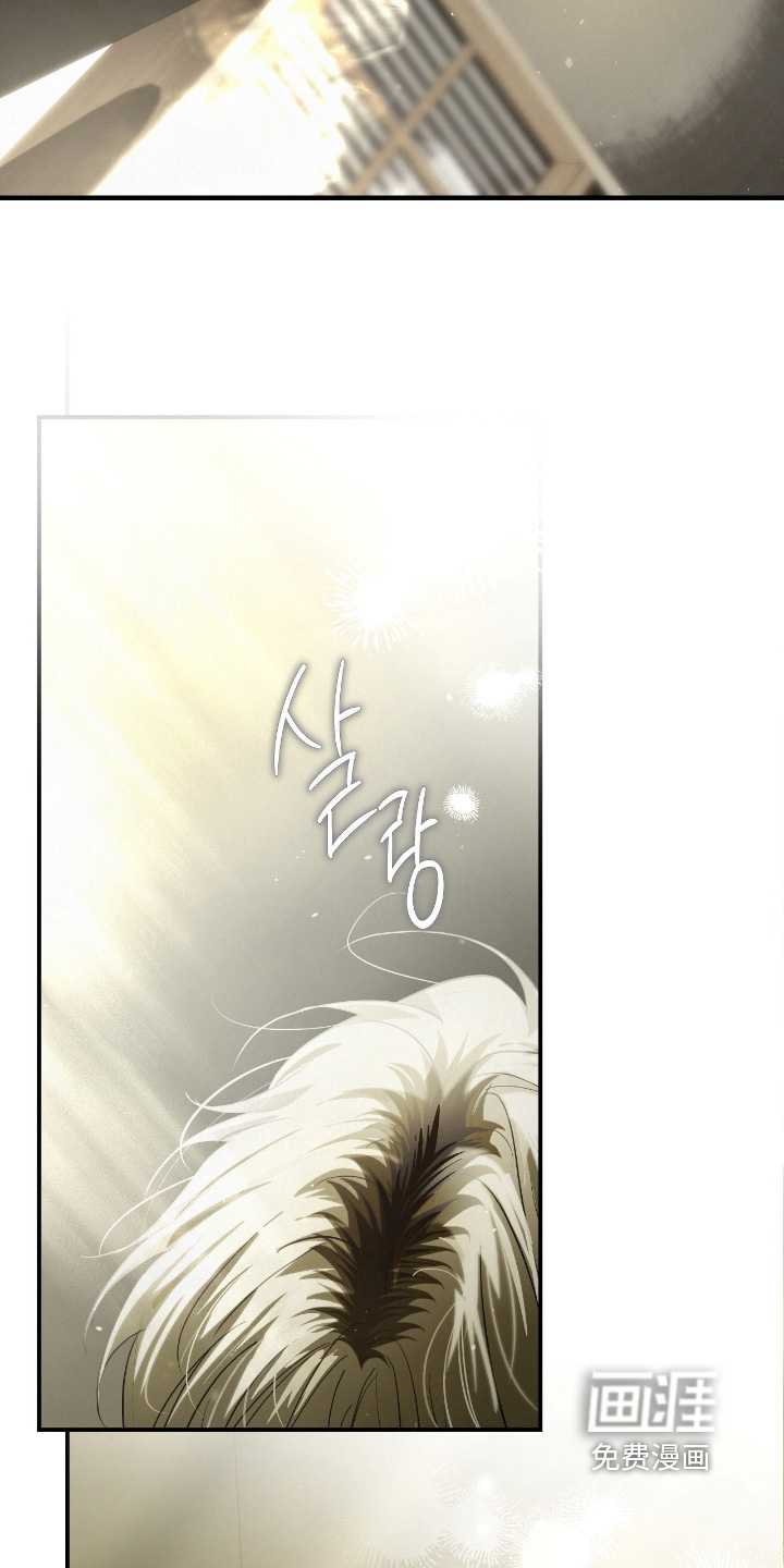 第51话12