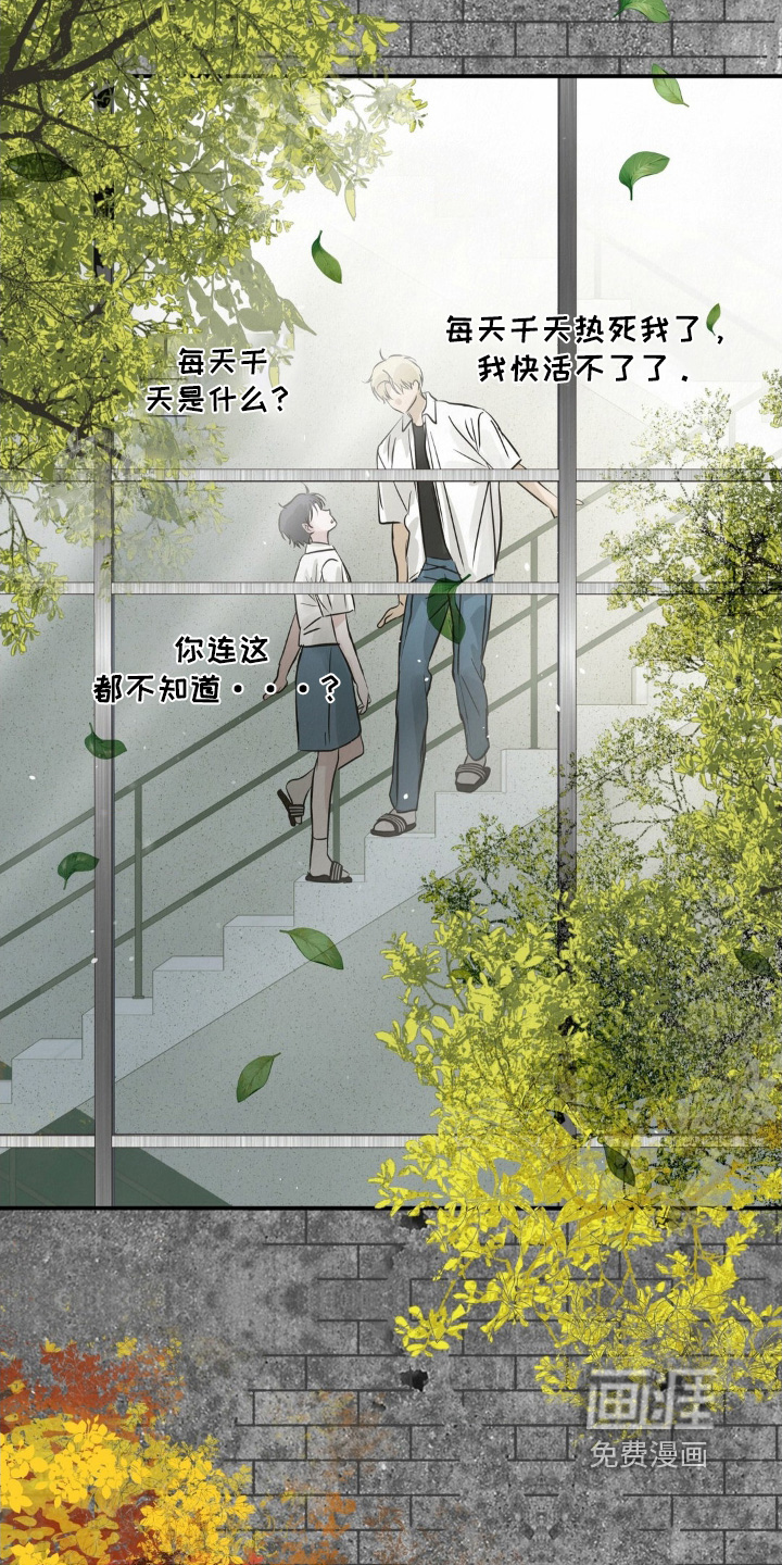 第44话12