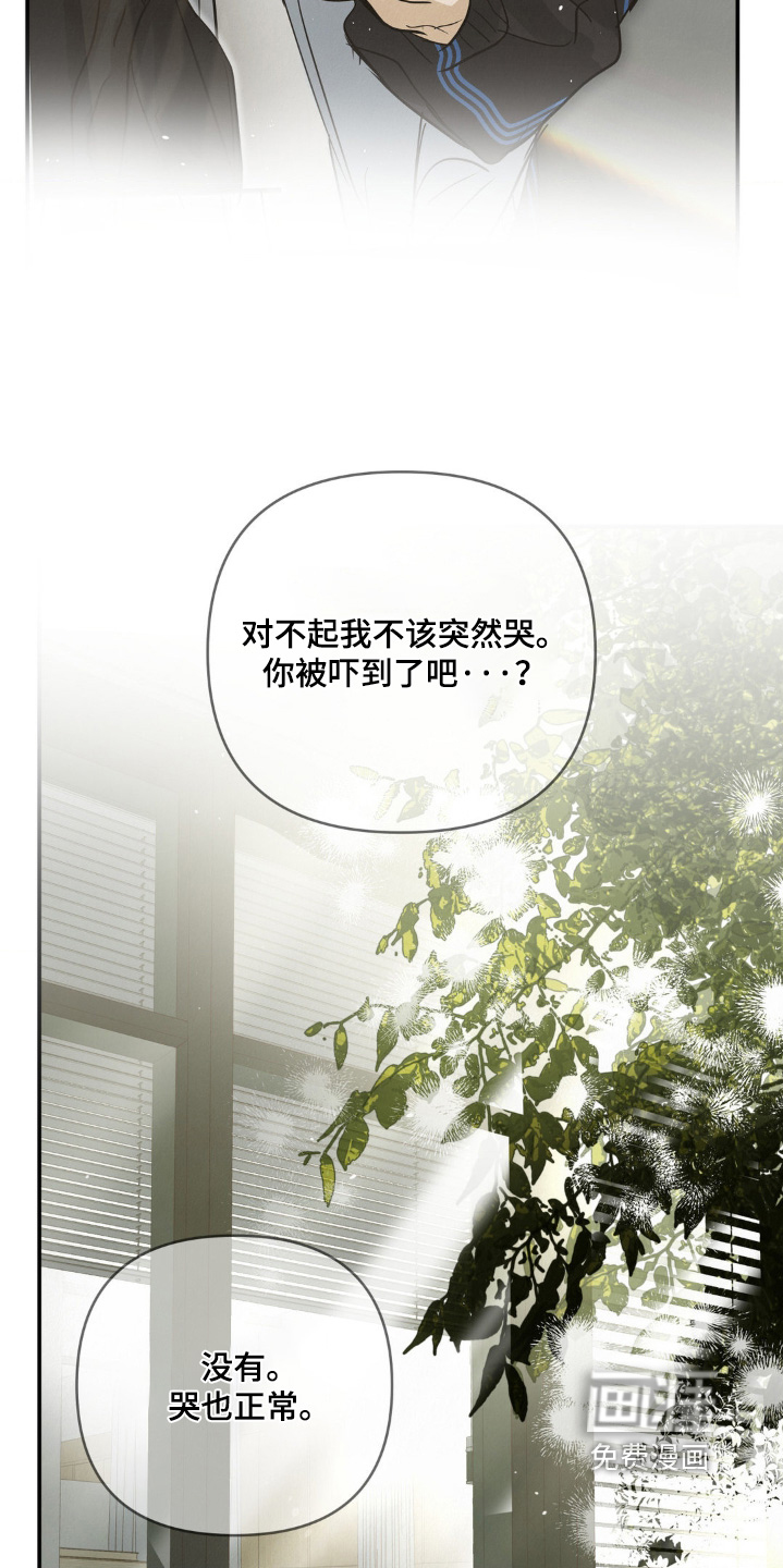 第43话17