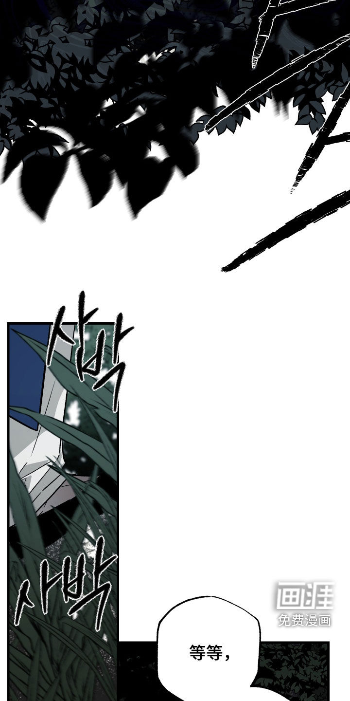 第48话13