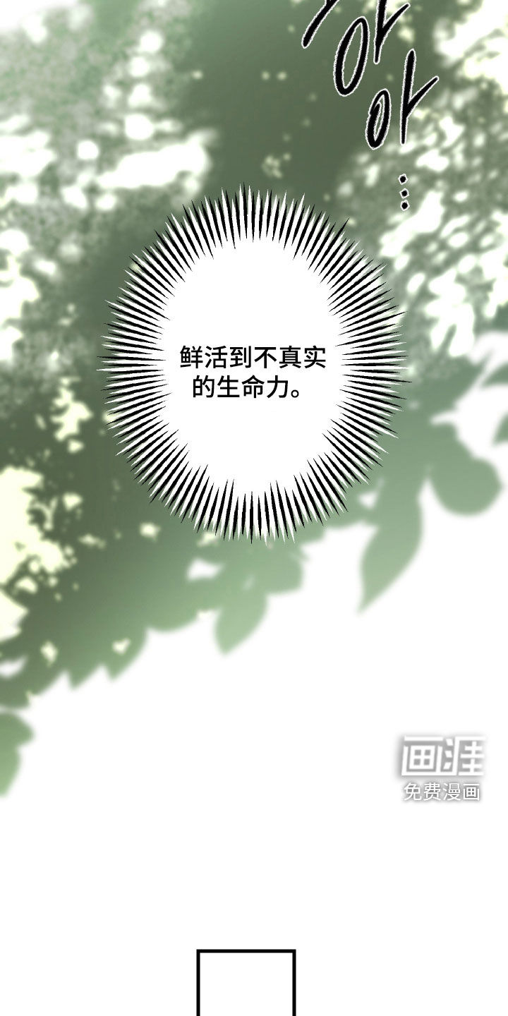 第52话26