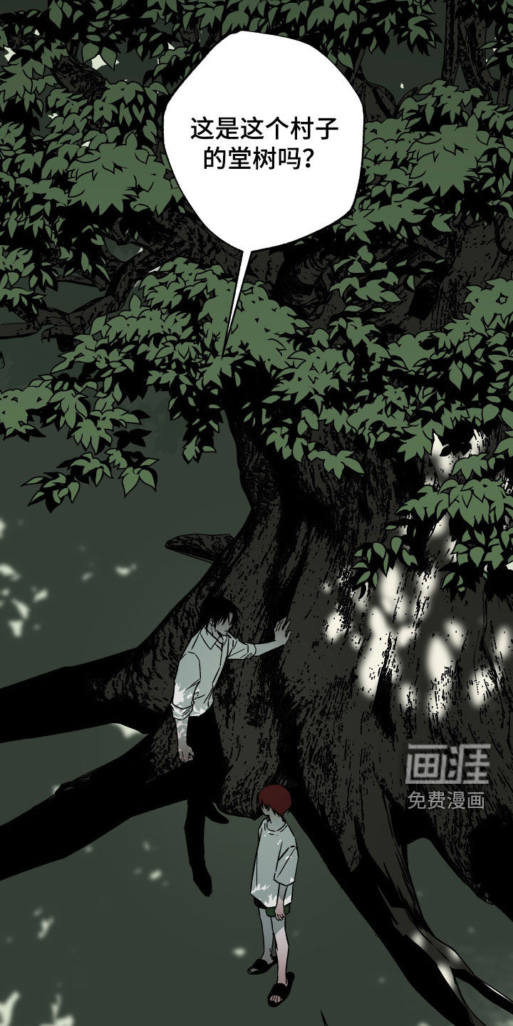 第52话39