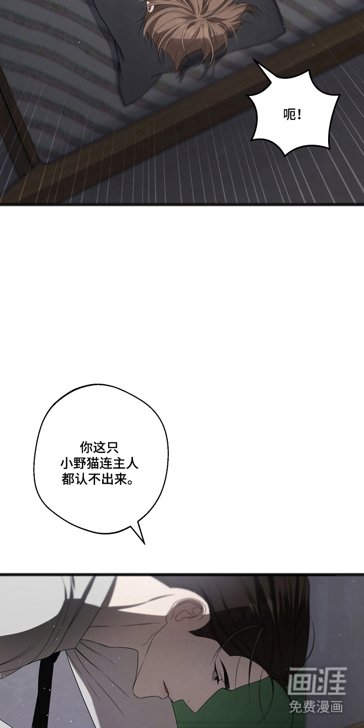 第65话12