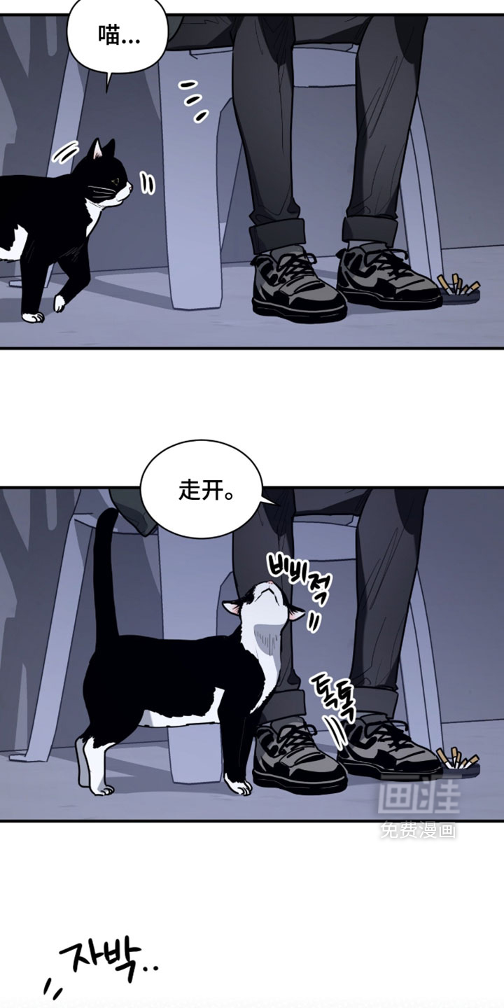 第60话12