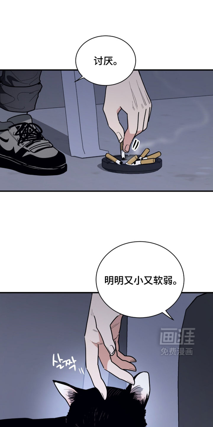第60话14