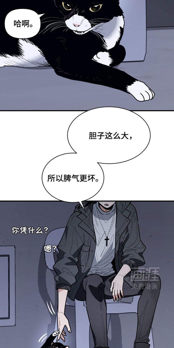 第60话15
