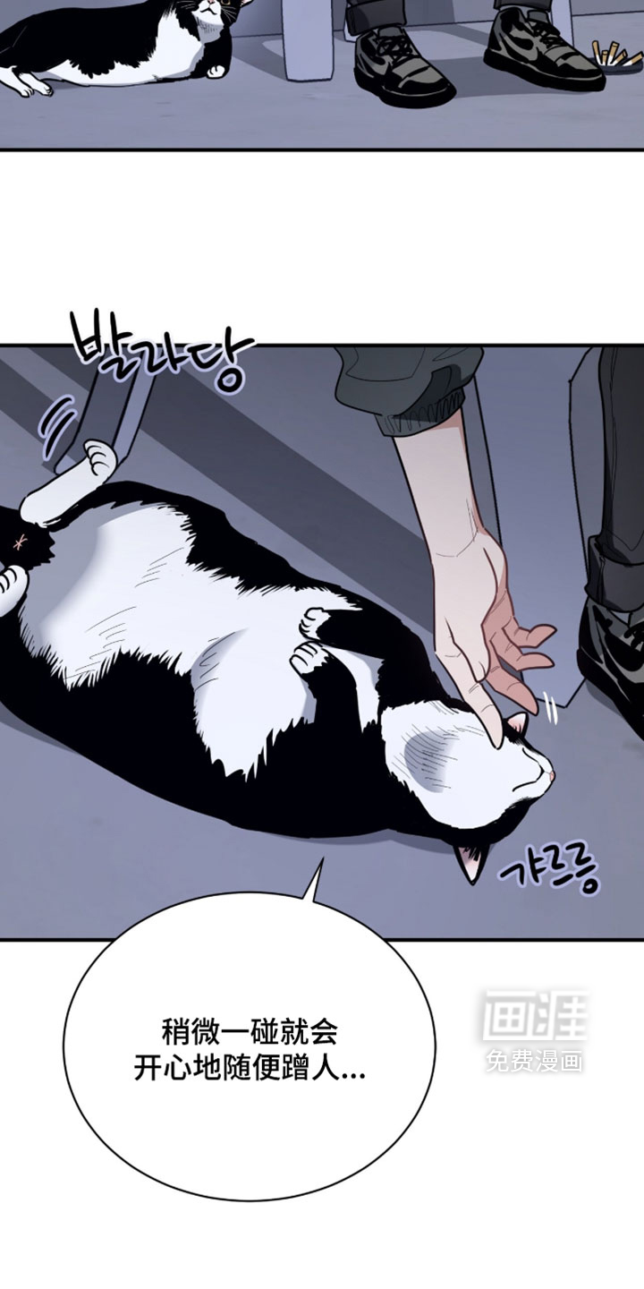 第60话16