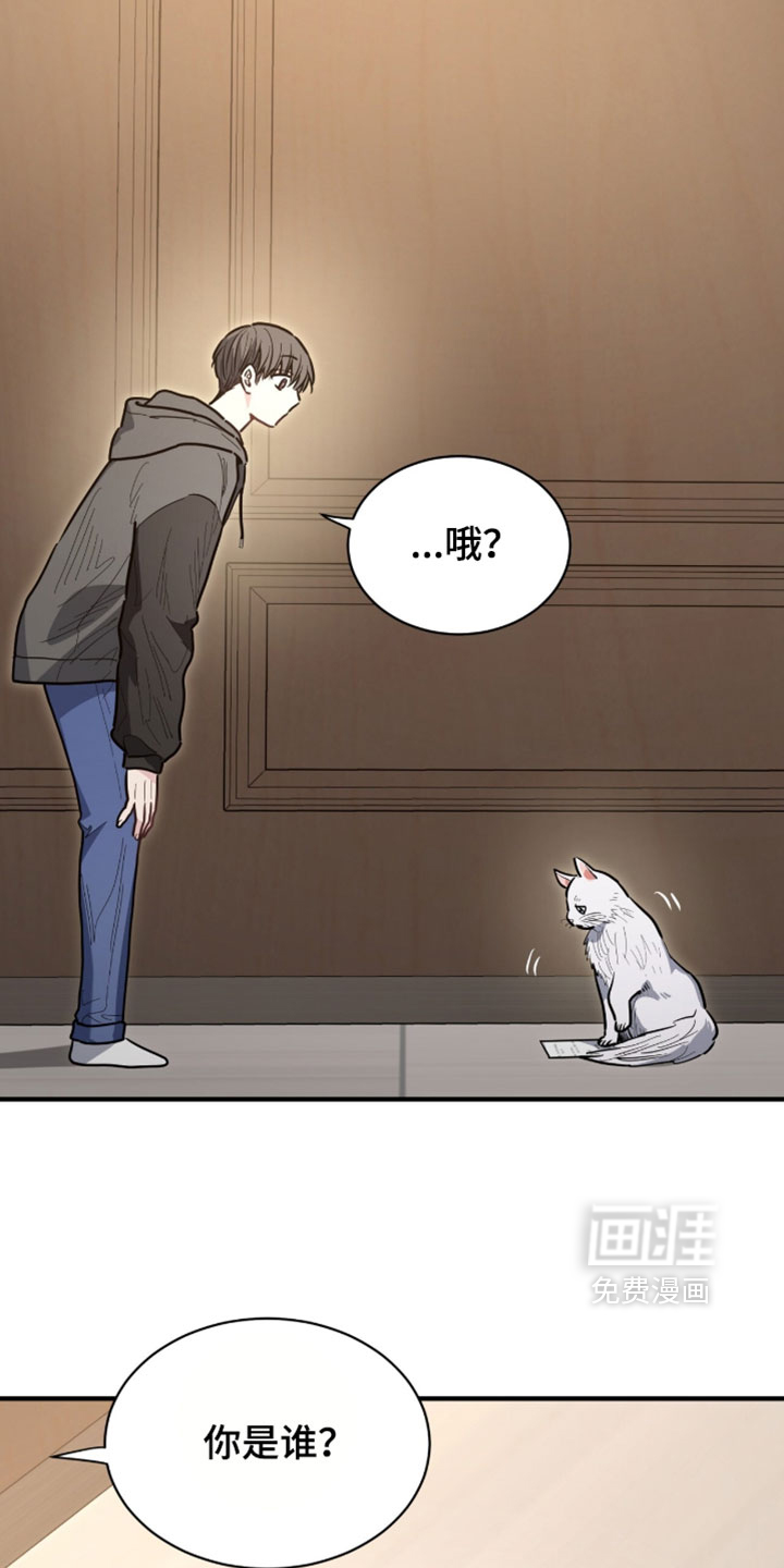 第64话14
