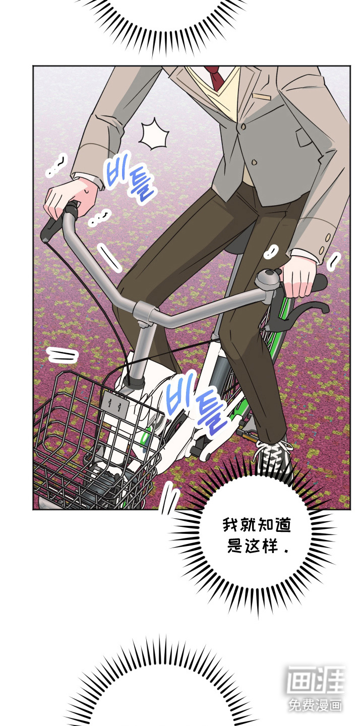 第9话17