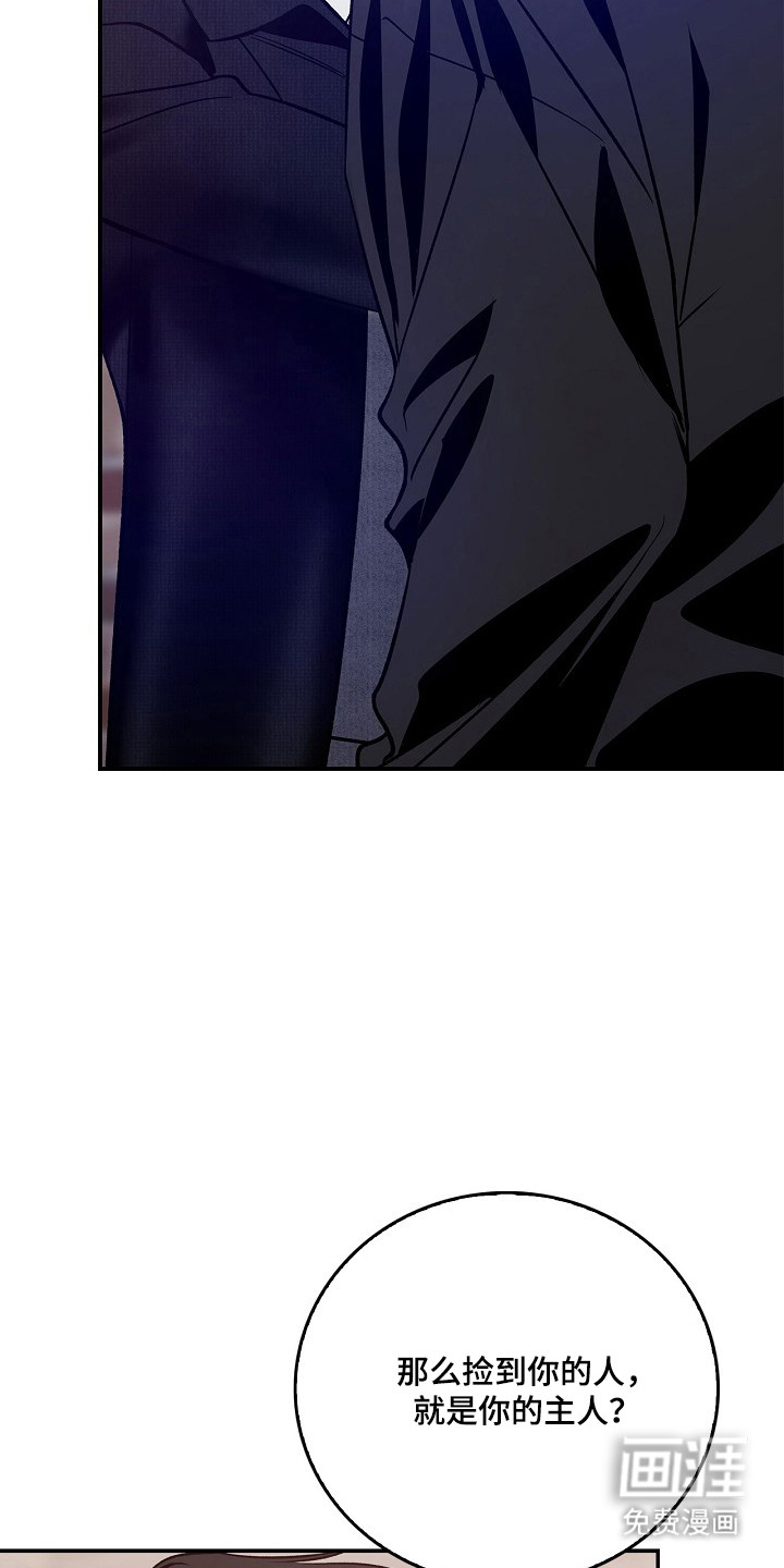 第53话30