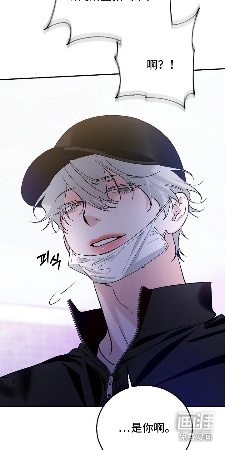 第51话14