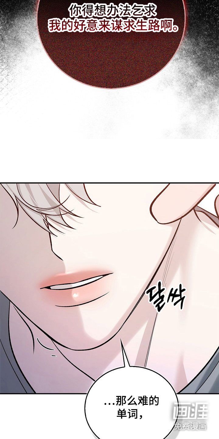 第24话28