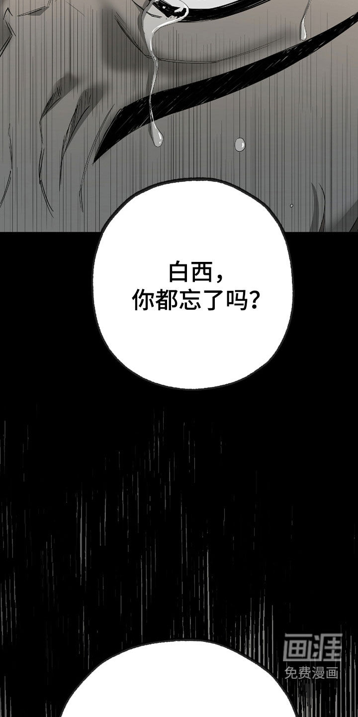 第41话25