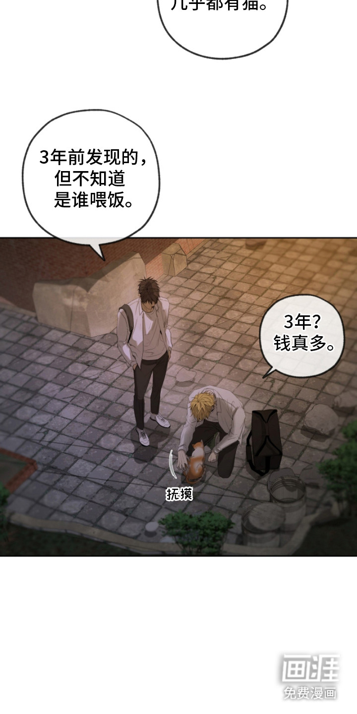 第20话13