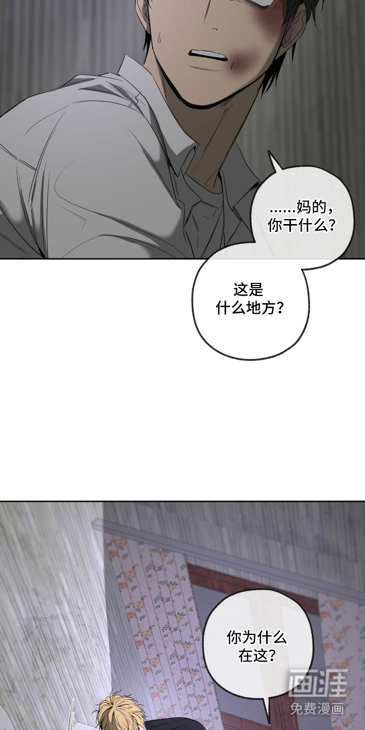 第13话8
