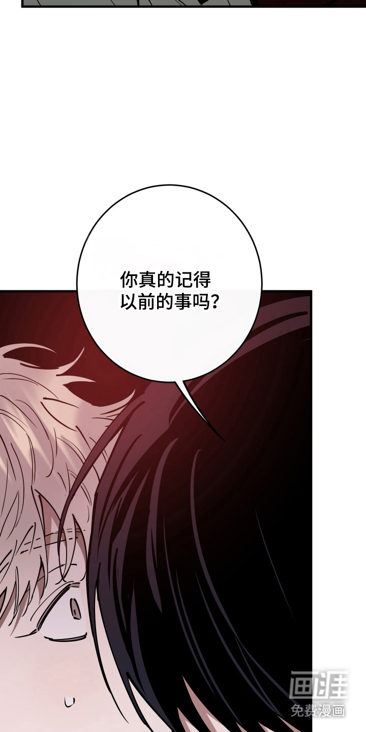 第31话14