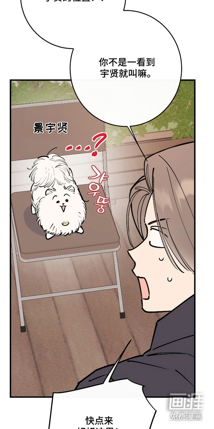 第41话19