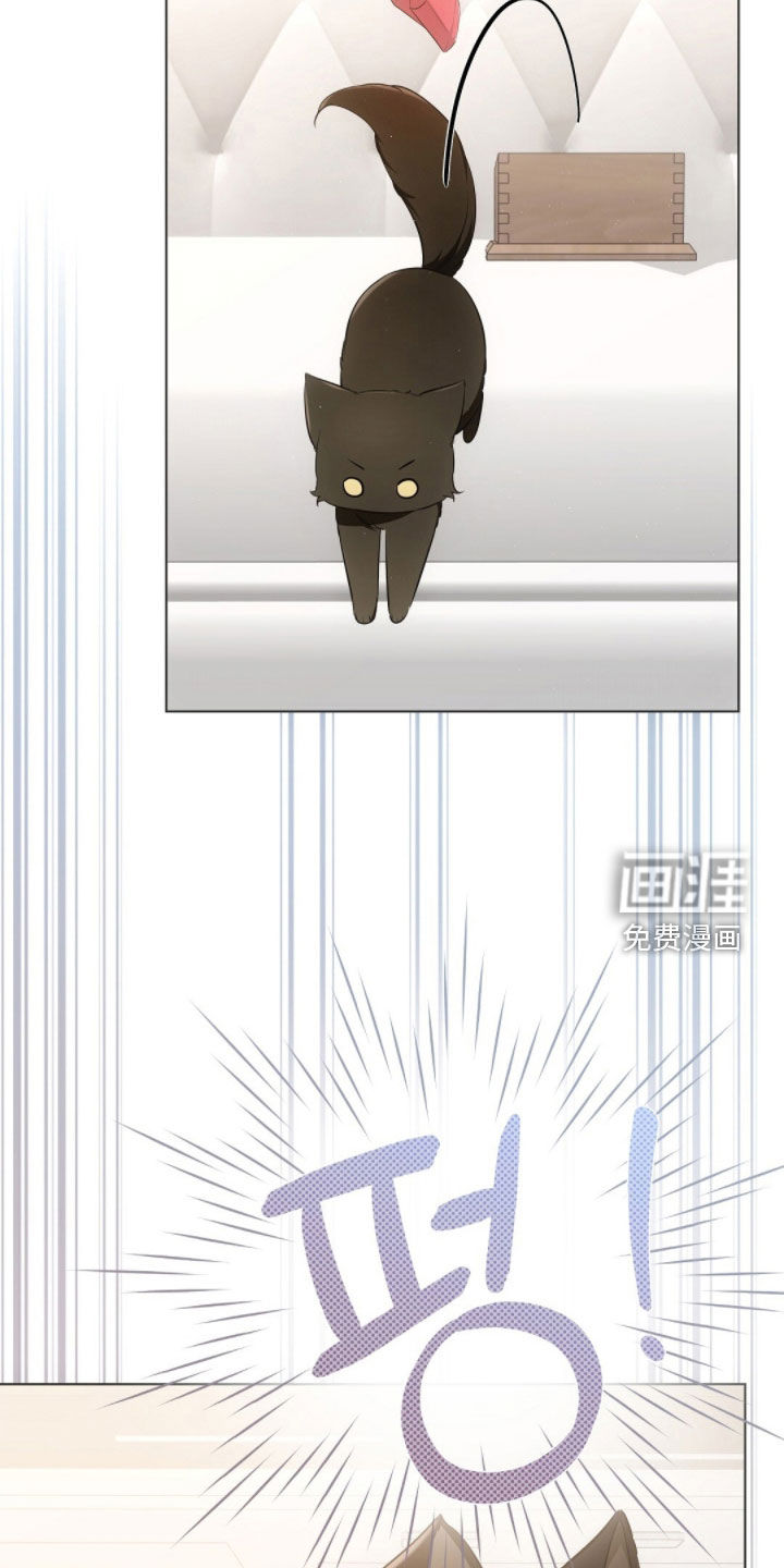 第27话11