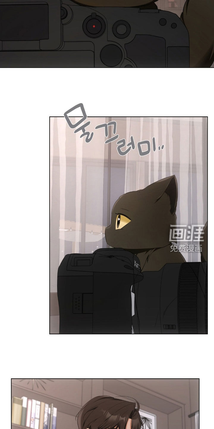 第26话9