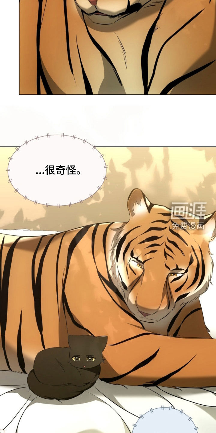 第30话17