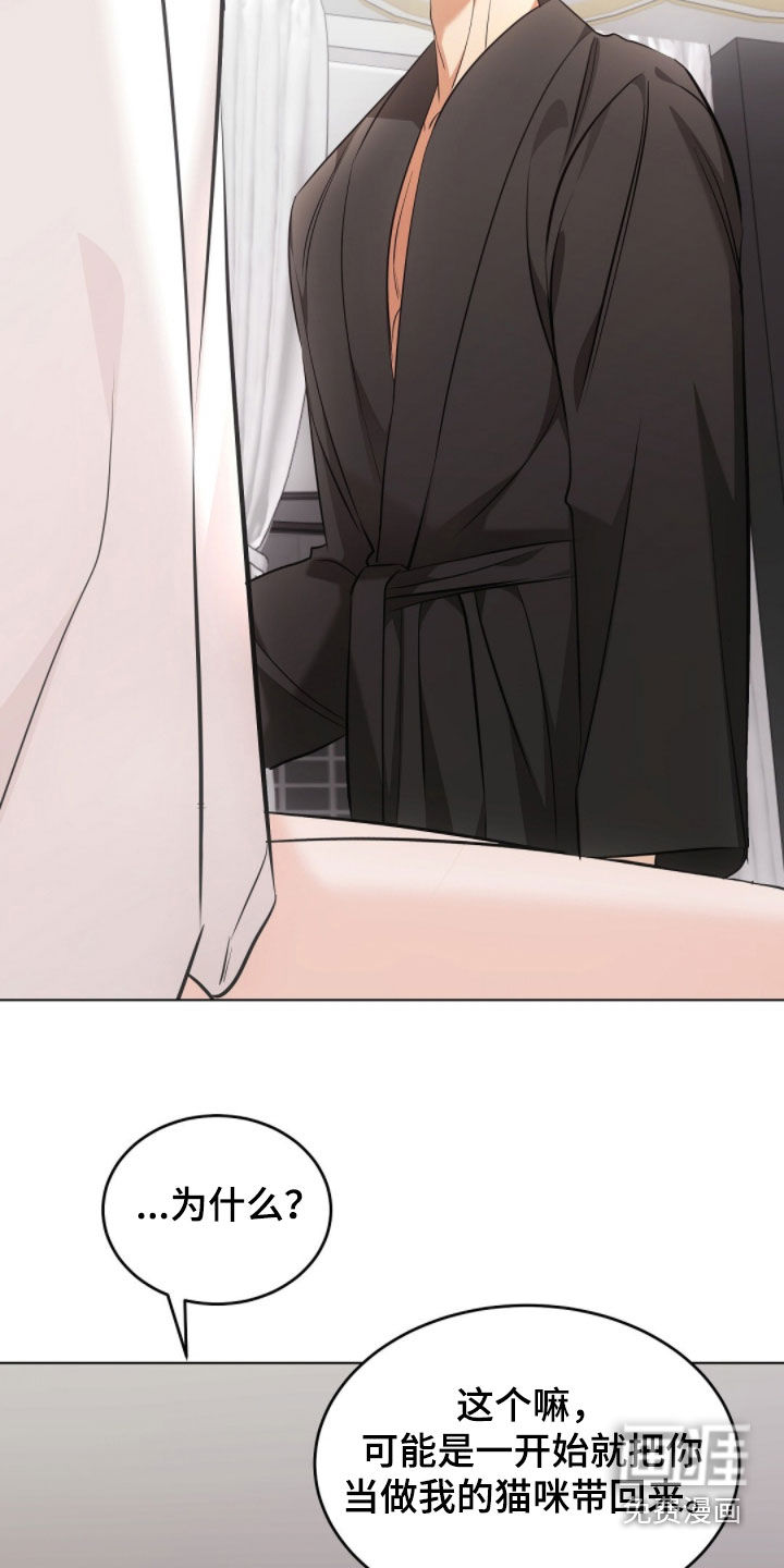 第43话22