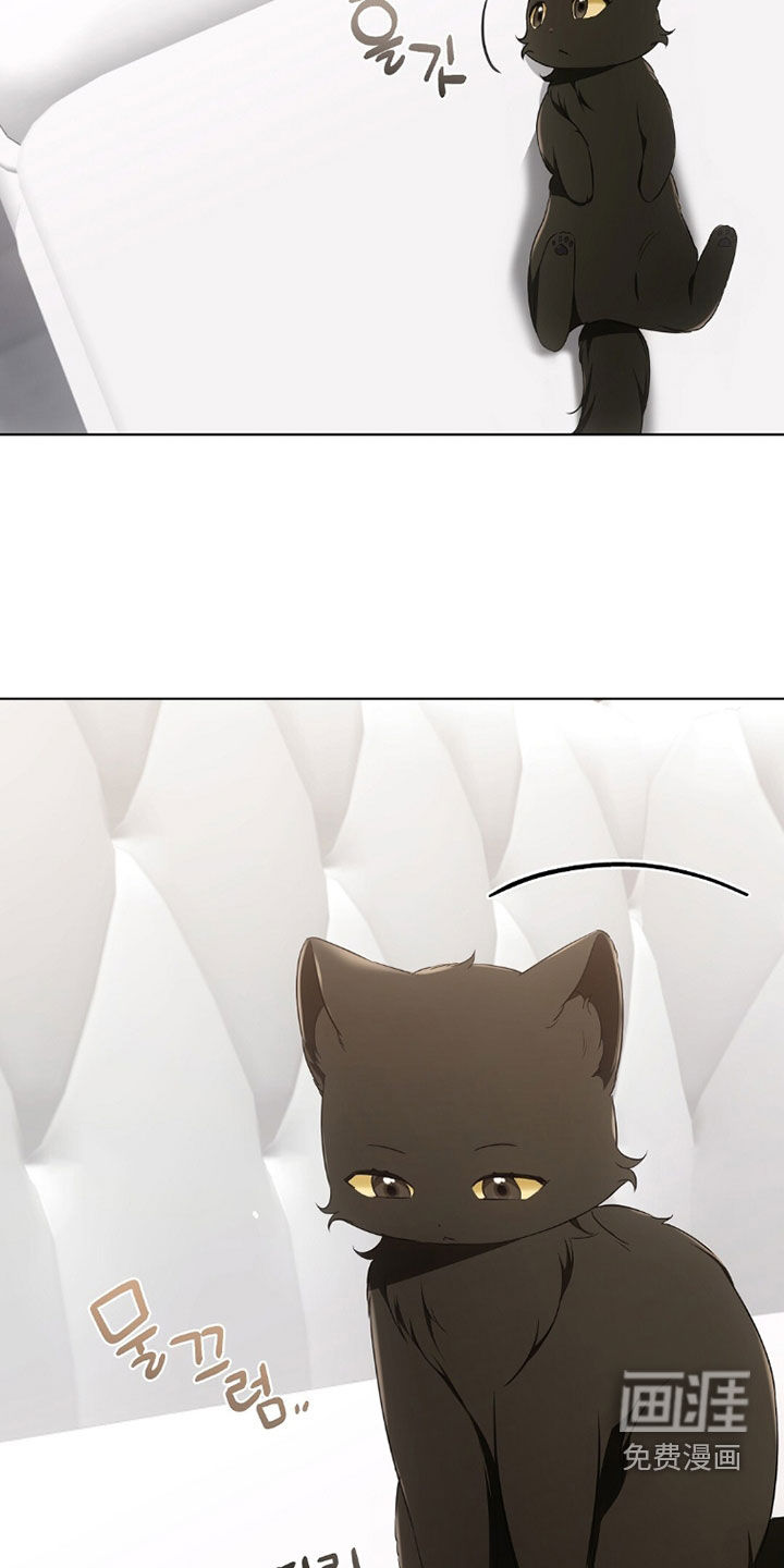 第41话22