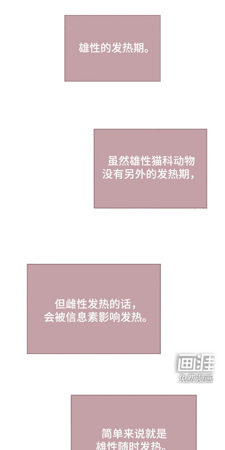 第41话7