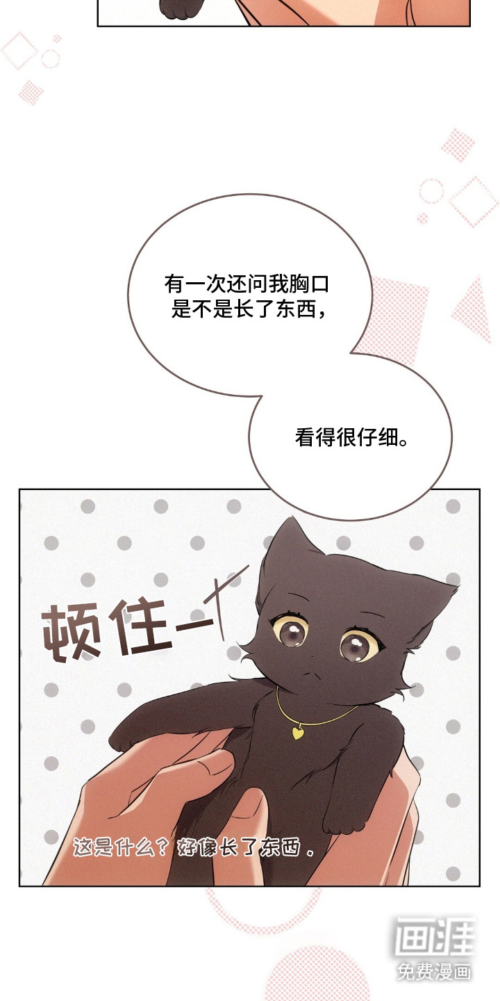 第15话12