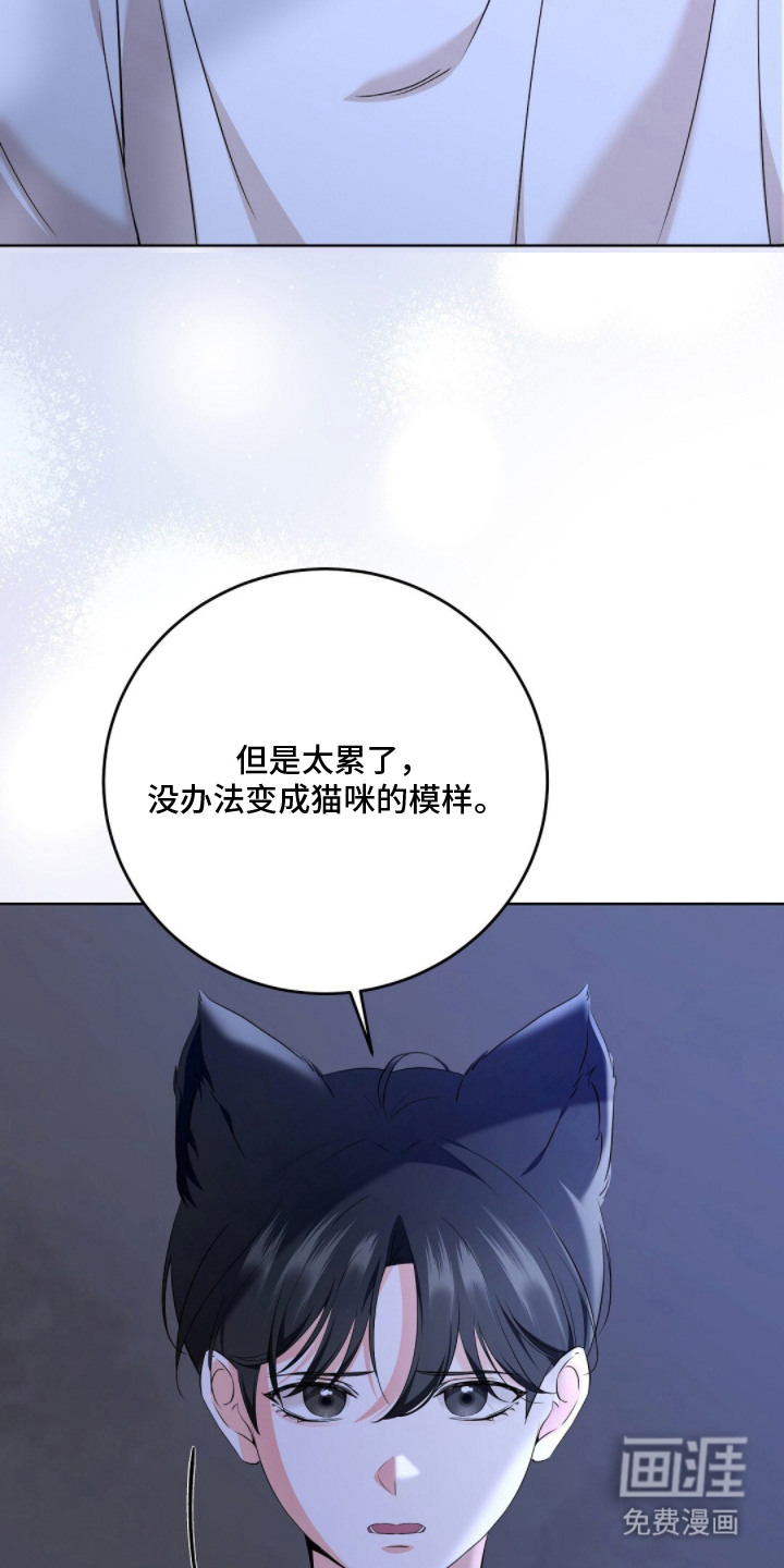 第12话13