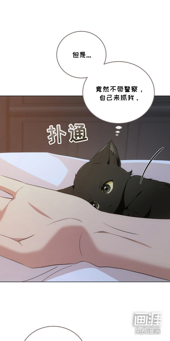 第17话15