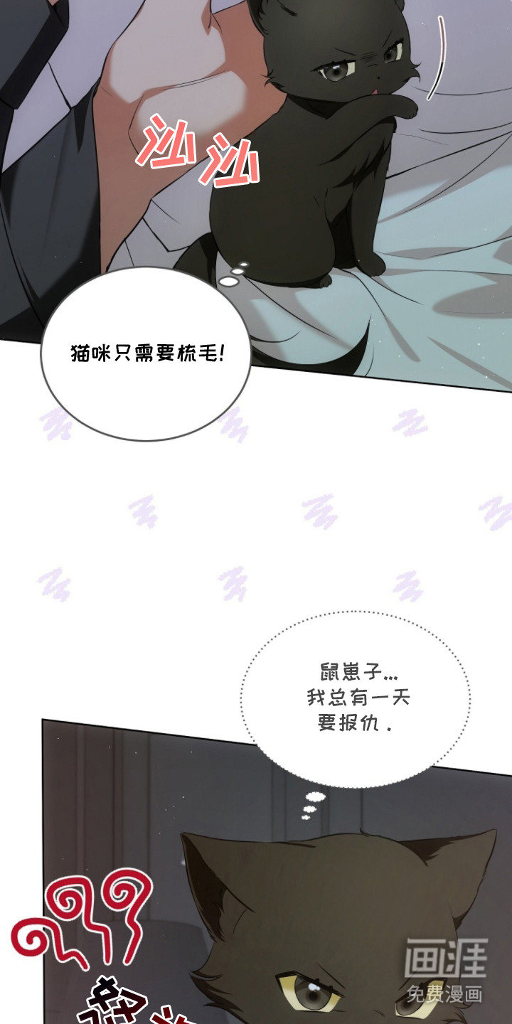 第17话5