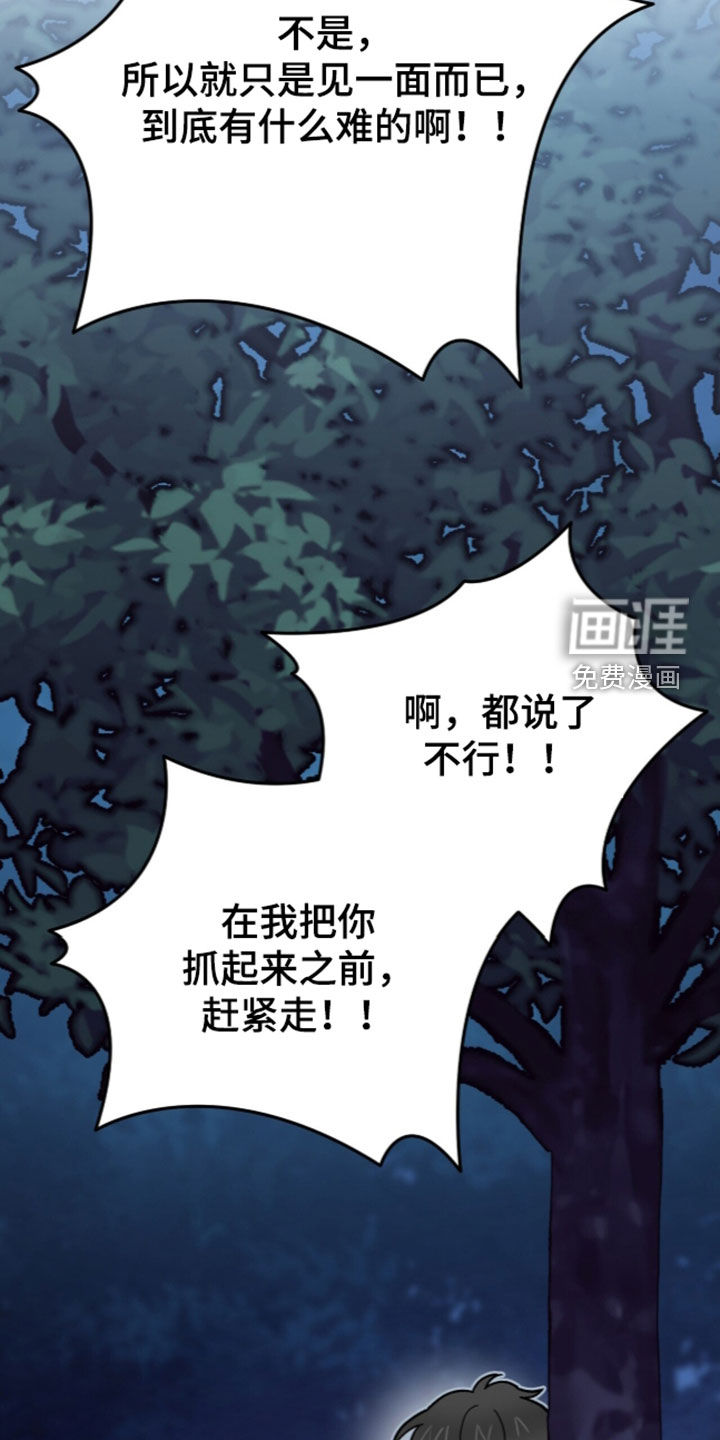 第113话11