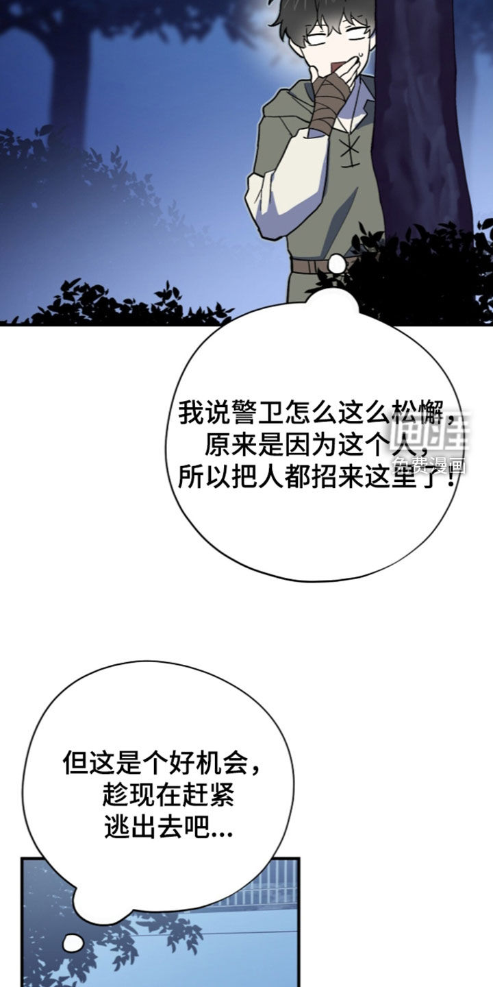 第113话12