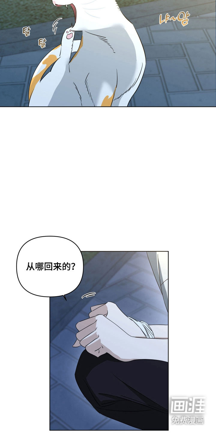 第26话12