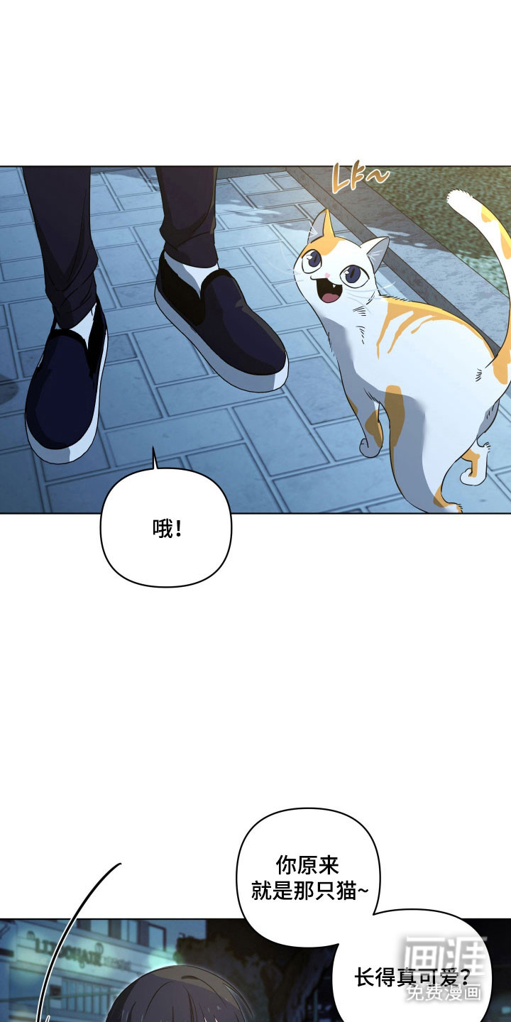 第26话5