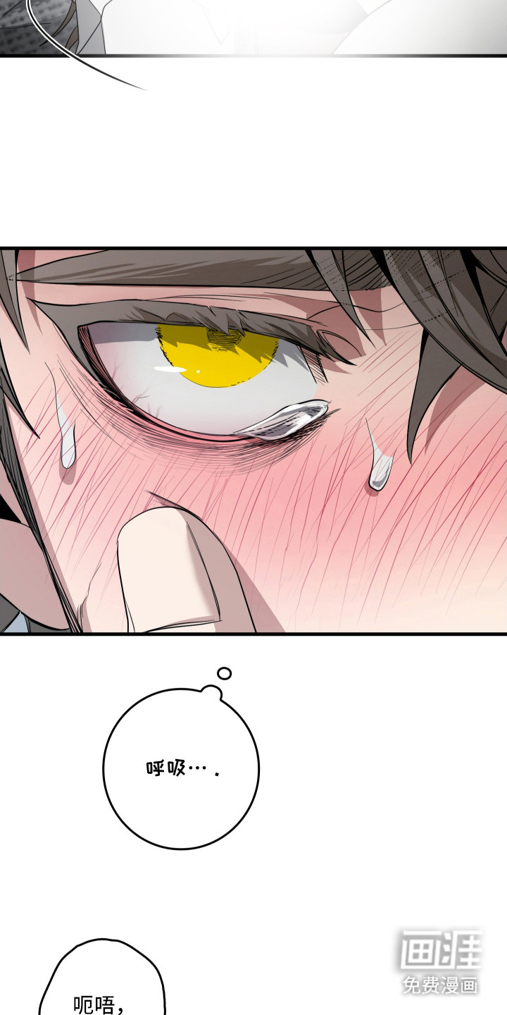 第17话5