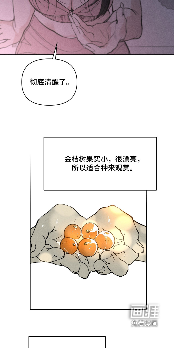 第19话13