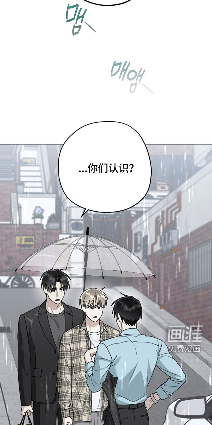 第37话11