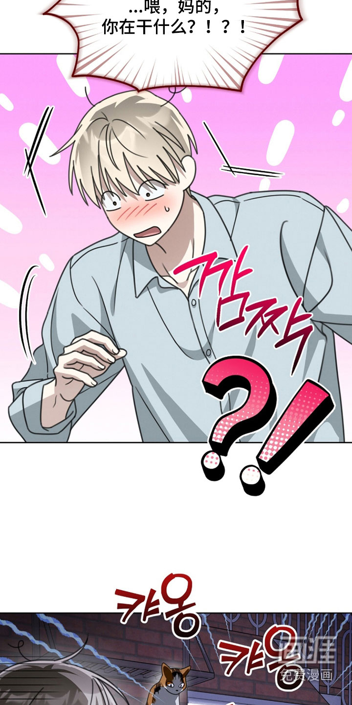 第48话13