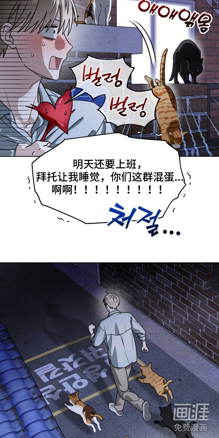 第48话14