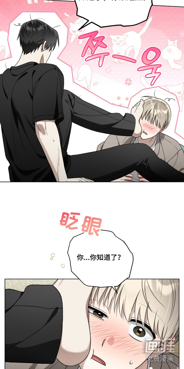 第11话5