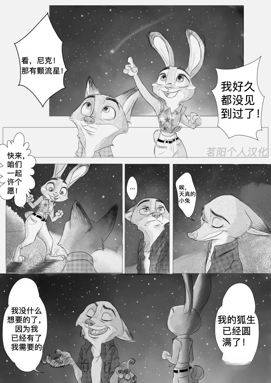 向流星许愿1