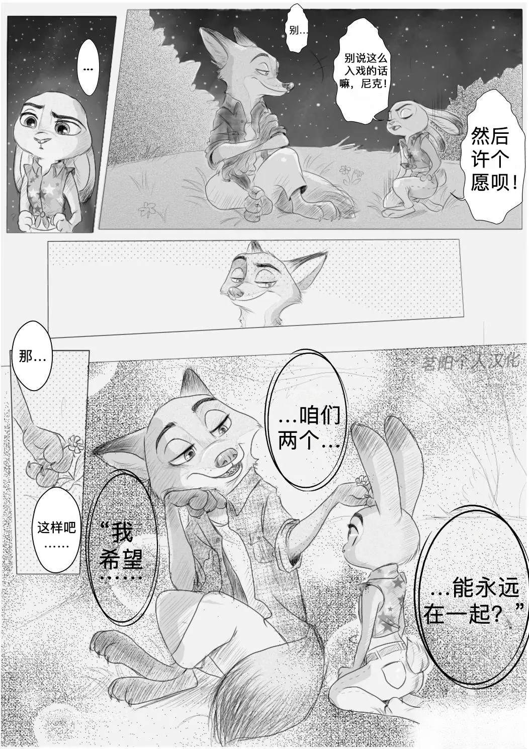向流星许愿2