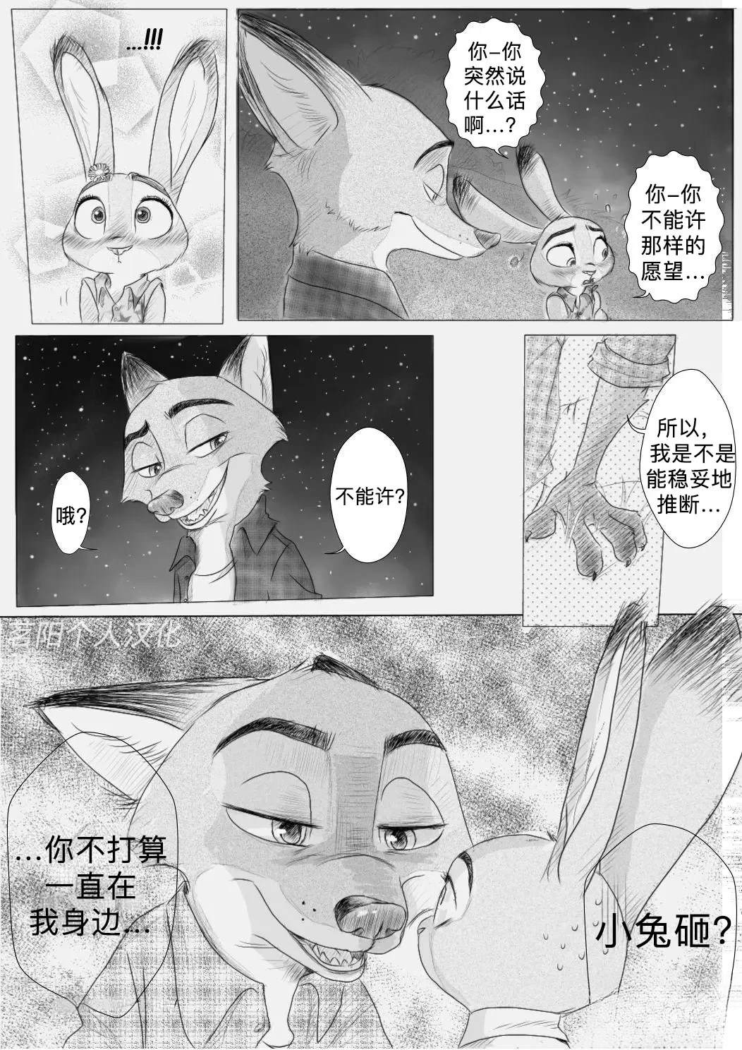 向流星许愿3