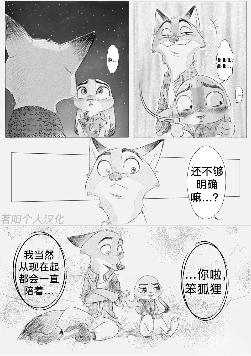 向流星许愿4