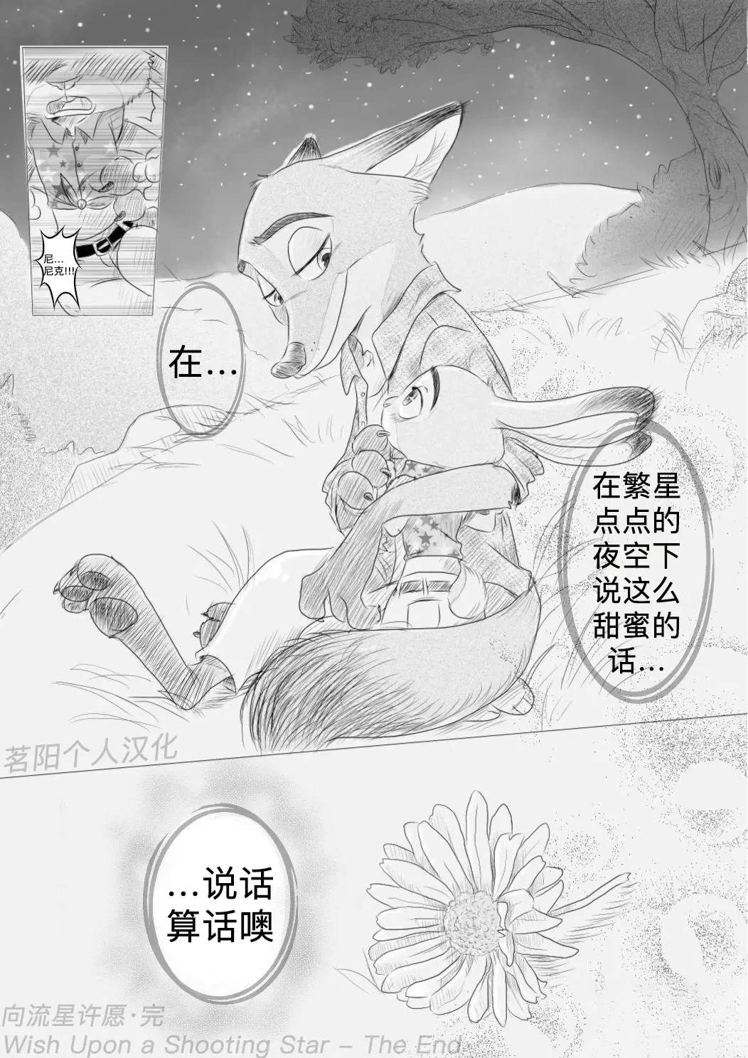 向流星许愿6